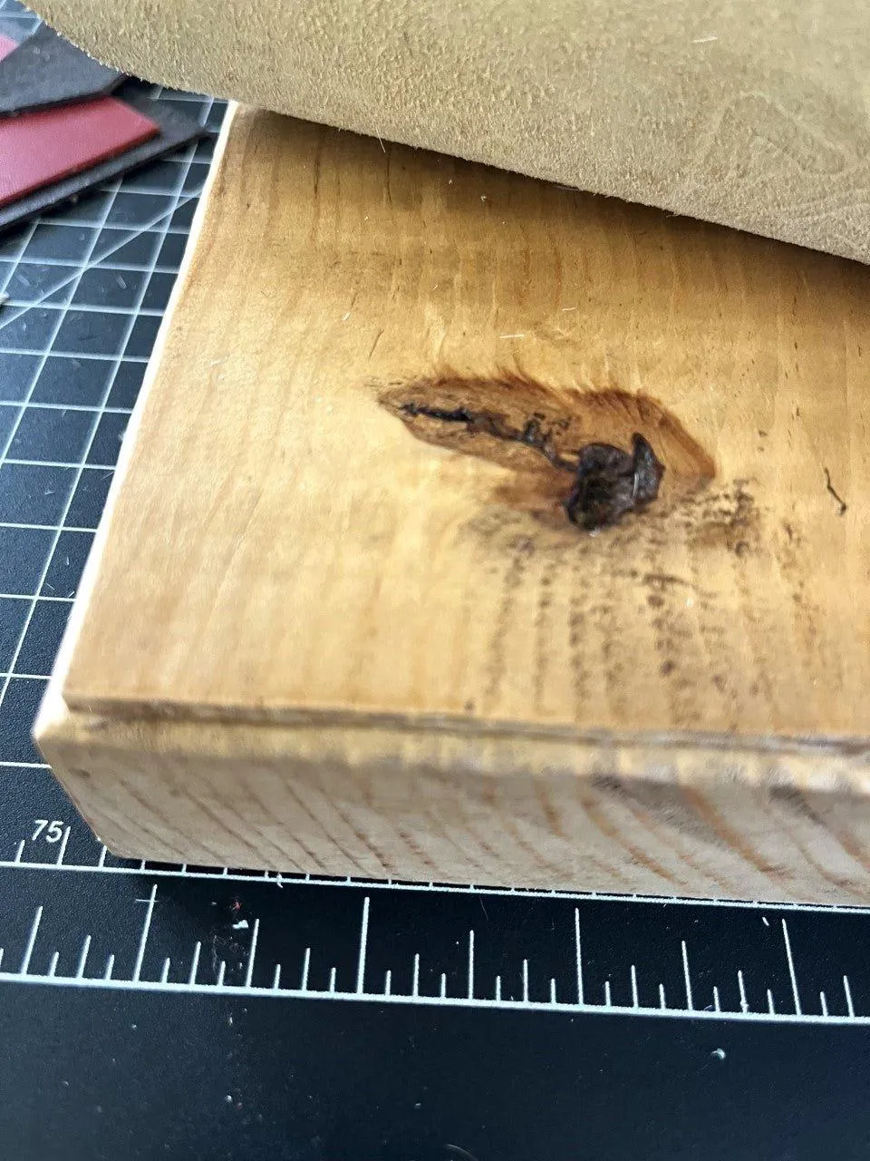 Air Plant Desk Plaque w/ Brindle Cowhide