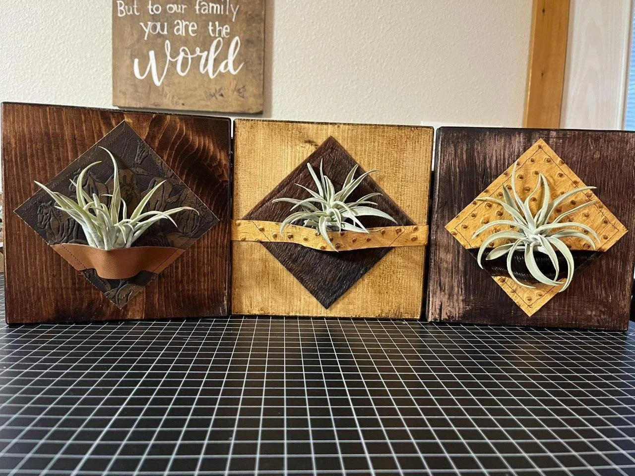 Air Plant Desk Plaque w/ Brindle Cowhide