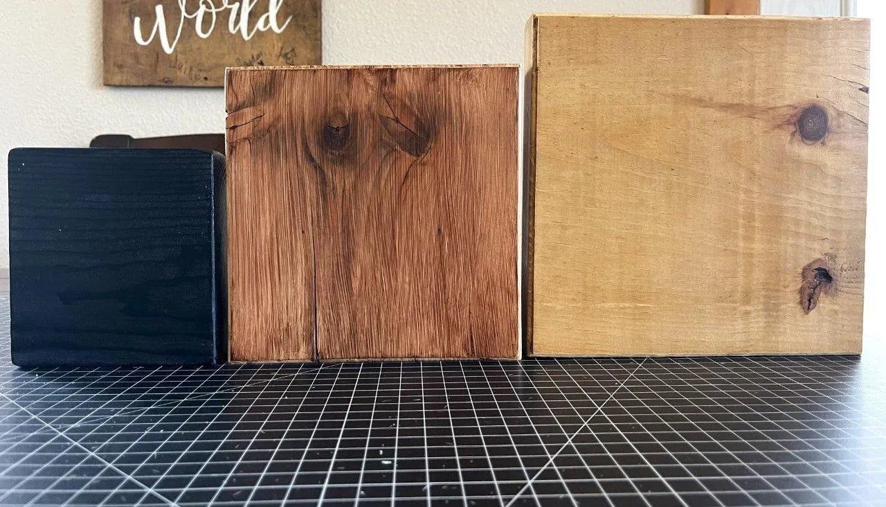 Air Plant Desk Plaque w/ Brindle Cowhide