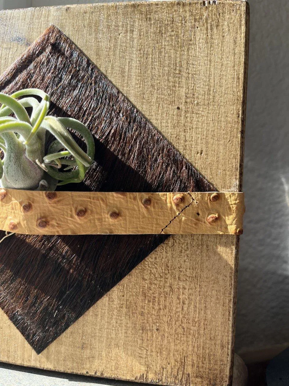 Air Plant Desk Plaque w/ Brindle Cowhide