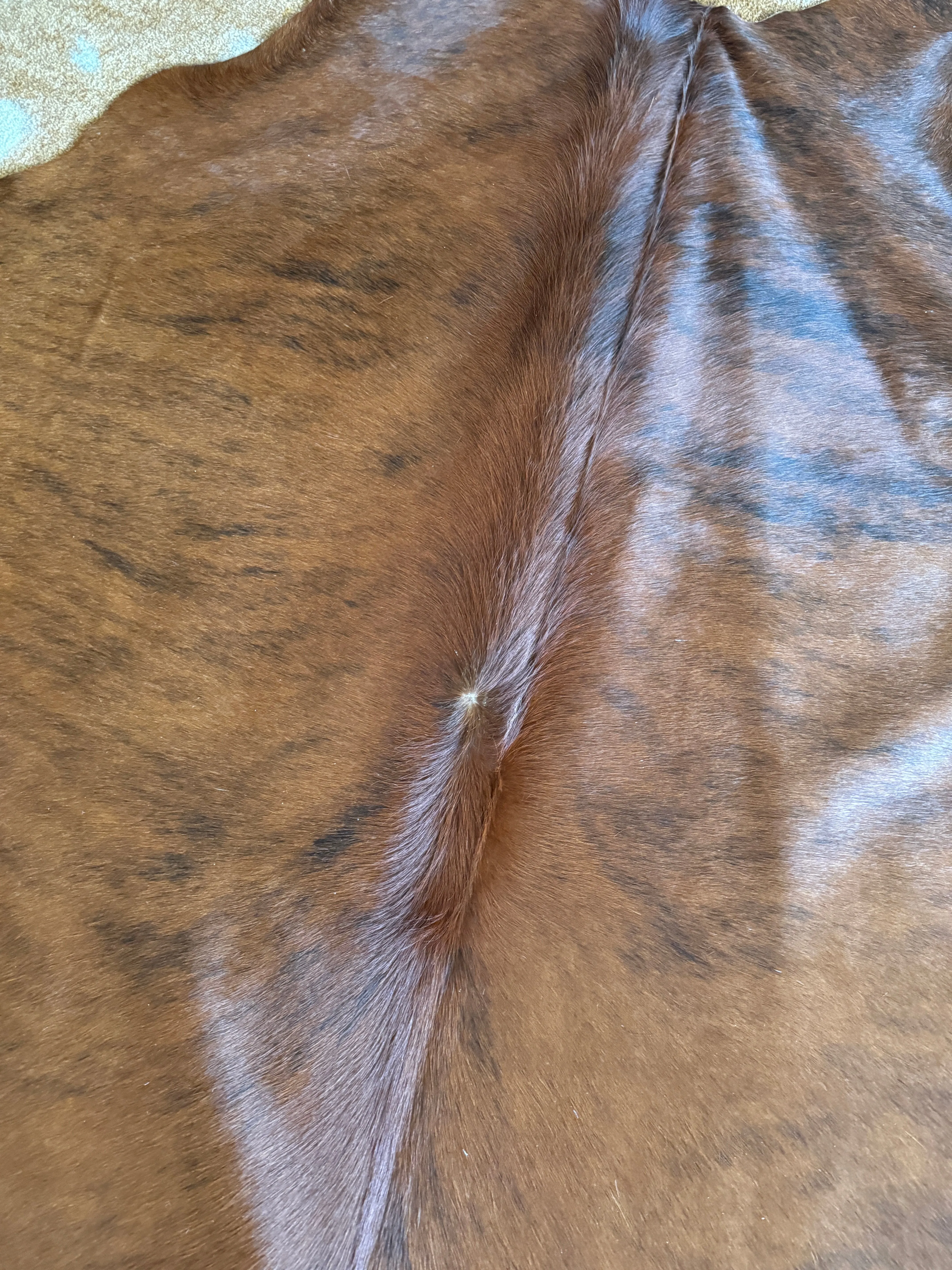 Brazilian Brindle Cowhide Rug XL