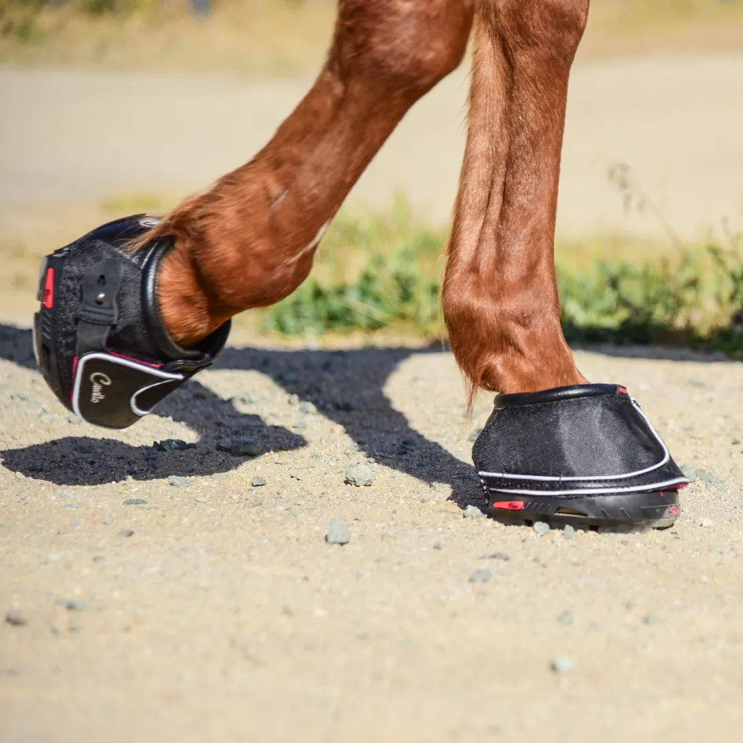 Cavallo Sport Boot Slim With FOC Hoof Pick & Brush
