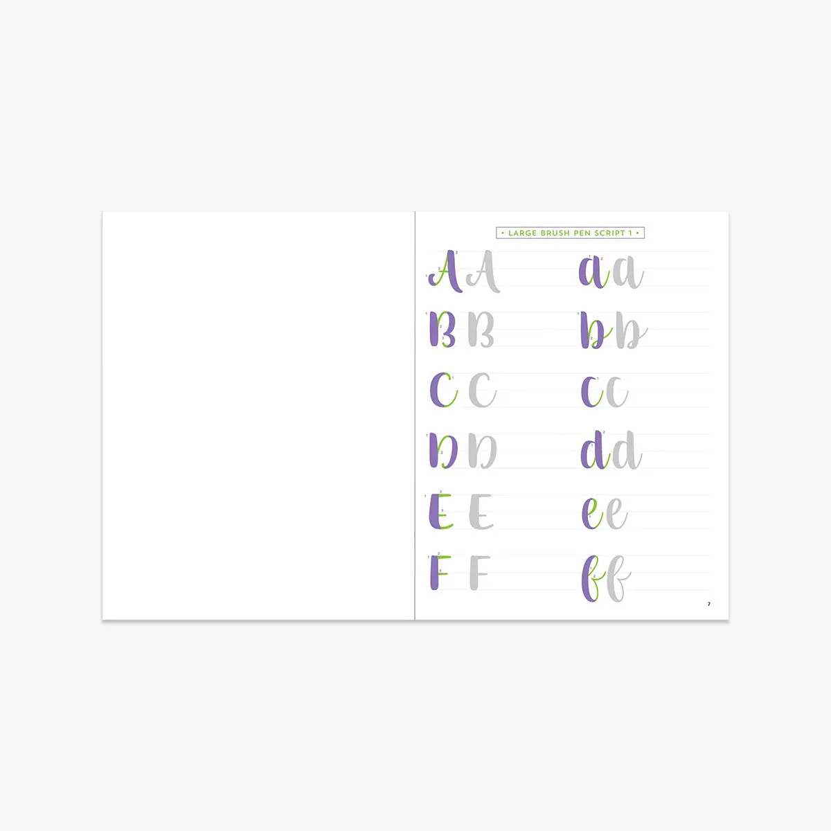 COLOURING BOOK // BRUSH LETTERING WORKBOOK