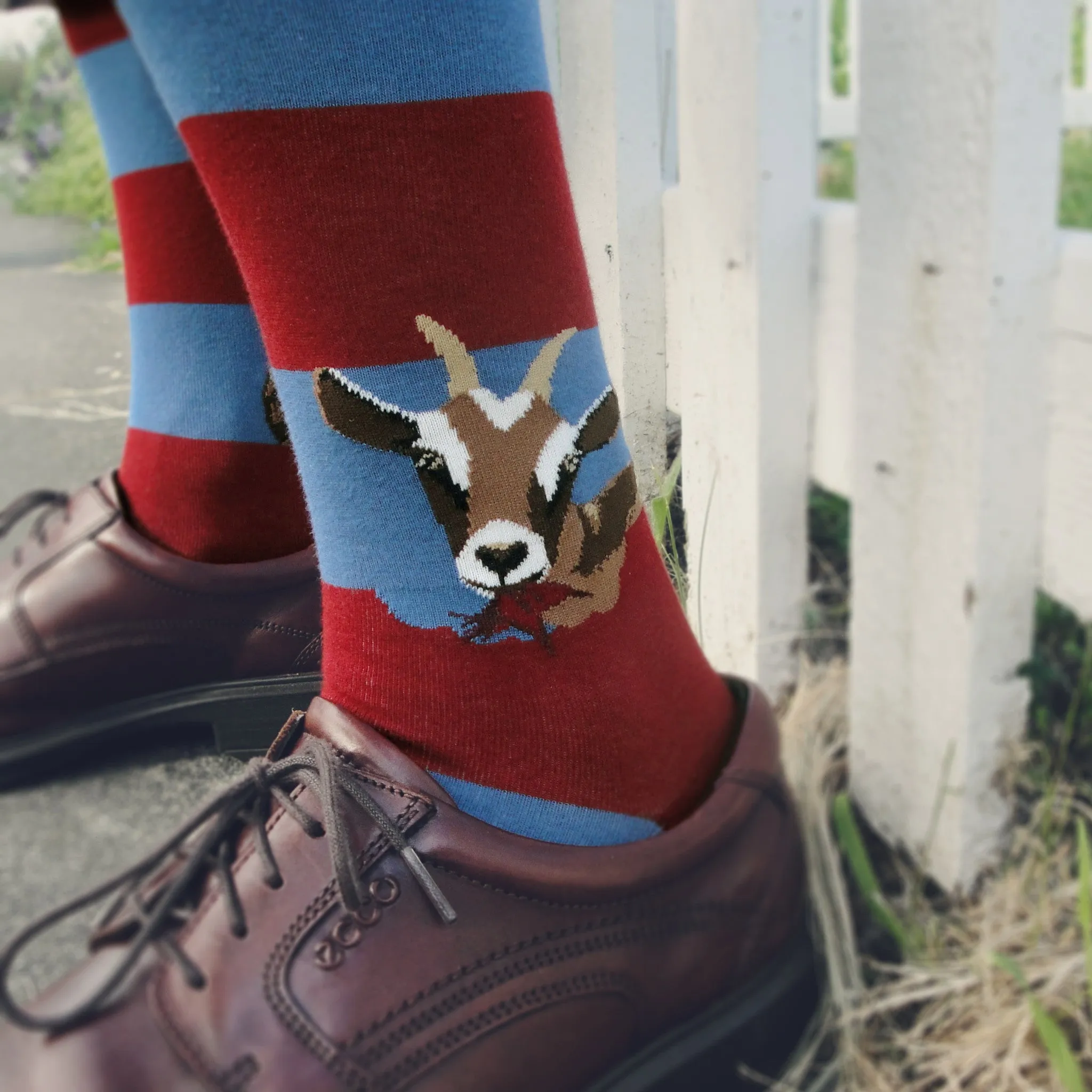 Hungry Goats Men's Crew Socks
