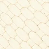 MARTINA PLATFORM | CREAM